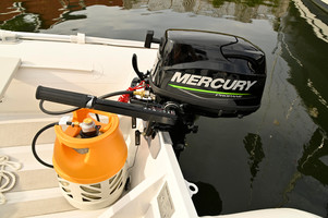 Mercury F 5 MLH LPG